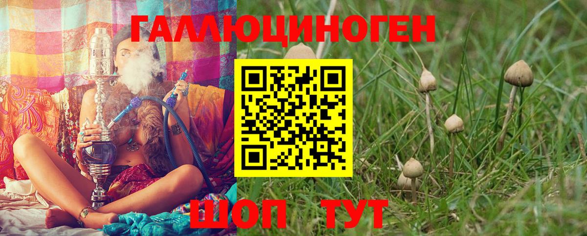 Галлюциногенные грибы Psilocybine cubensis  Вход с VPN  Среднеуральск  Псилоцибиновые грибы мицелий 